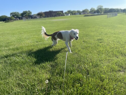 IMG_2146.jpeg